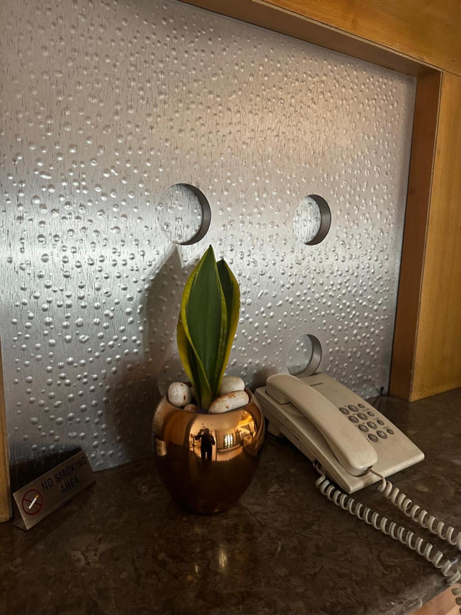 Hotel Ashirwad 浦那 外观 照片